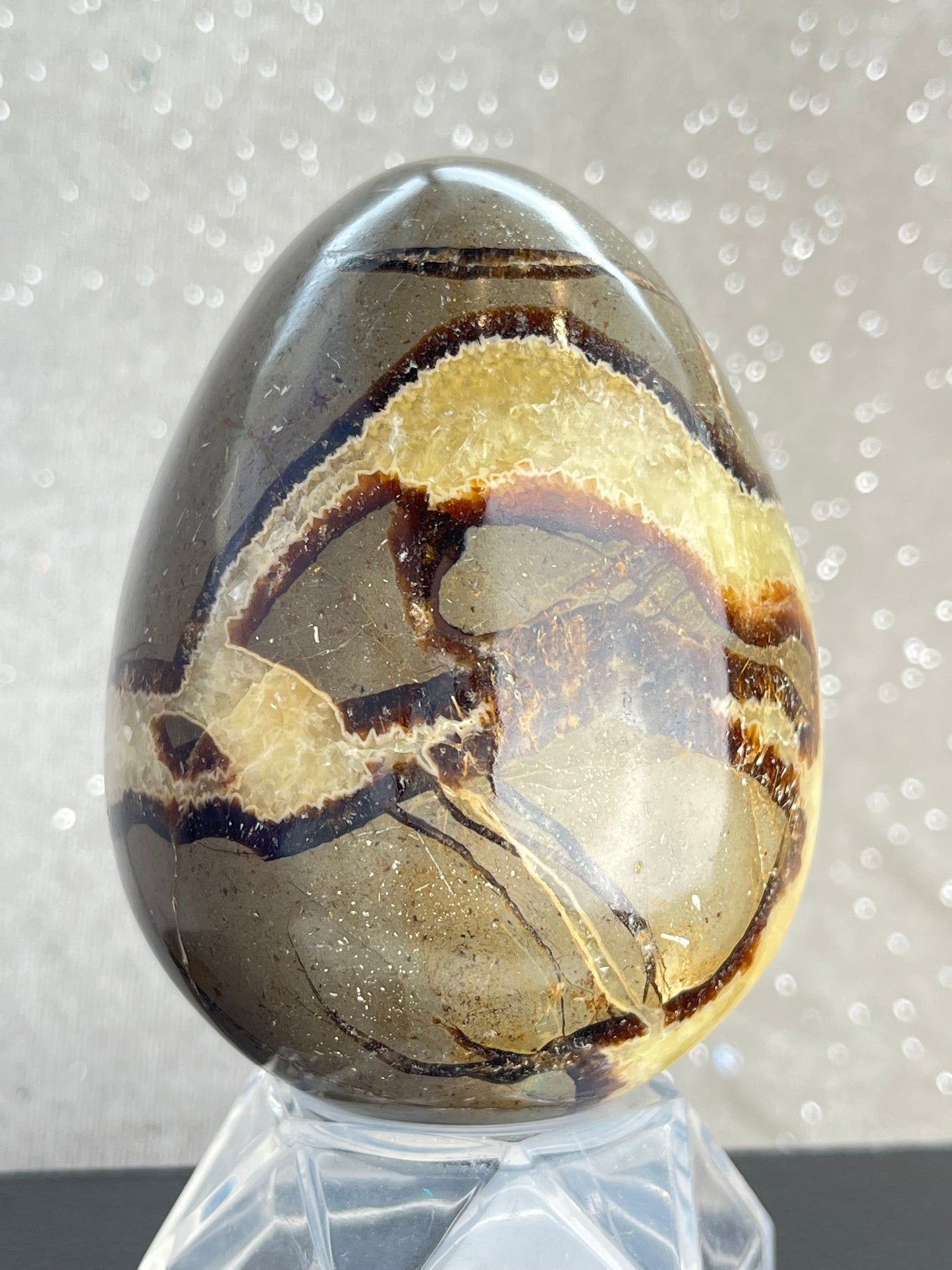 Septarian Egg