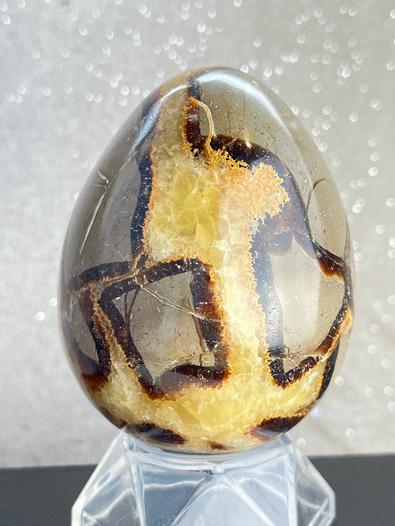 SEPTARIAN