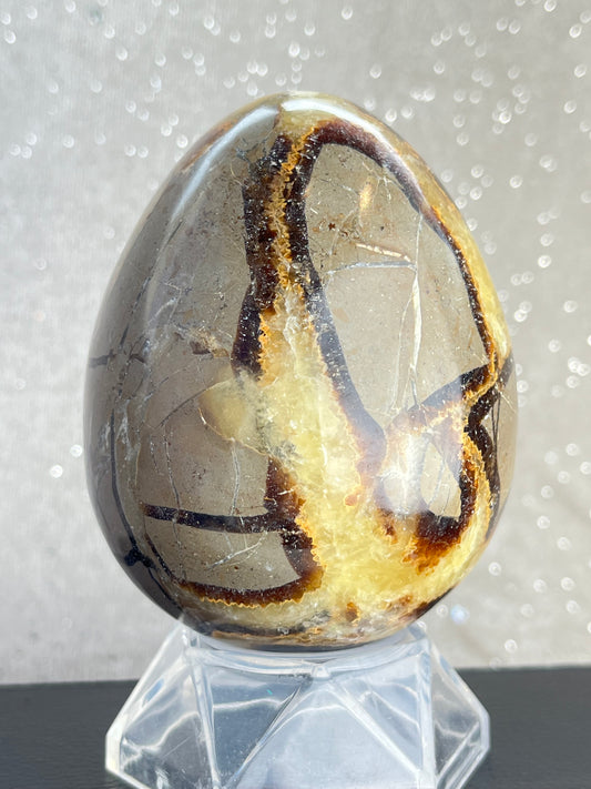 Septarian Egg