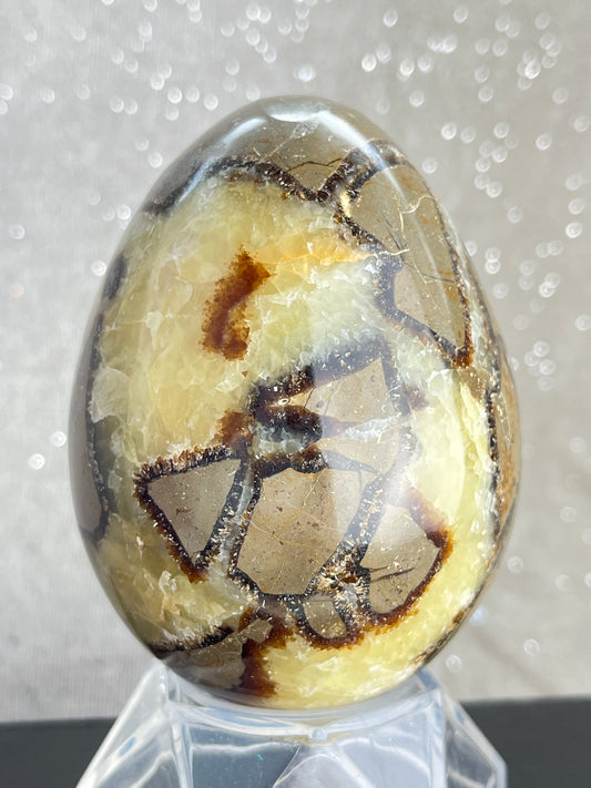 Septarian Egg