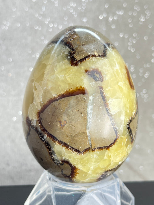 Septarian Egg